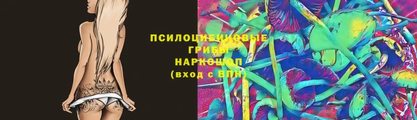 шишки Гусиноозёрск