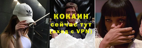 шишки Гусиноозёрск