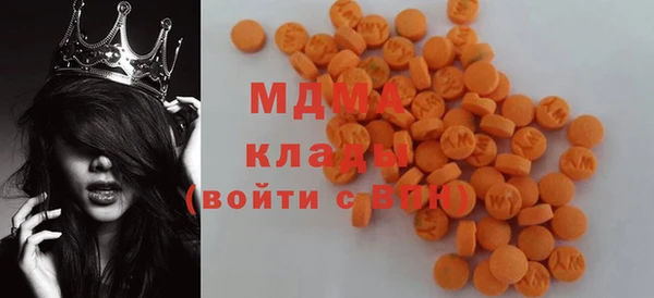 шишки Гусиноозёрск