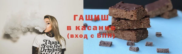 шишки Гусиноозёрск