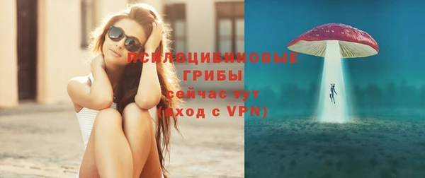 тгк Гусь-Хрустальный
