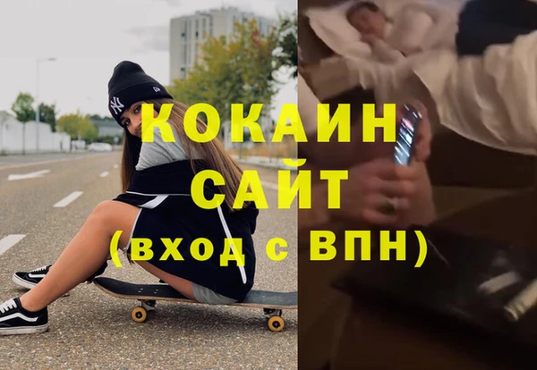 шишки Гусиноозёрск