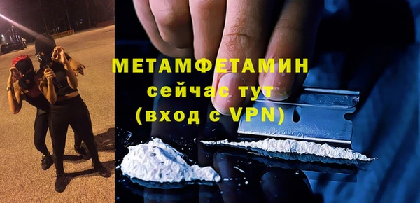 шишки Гусиноозёрск