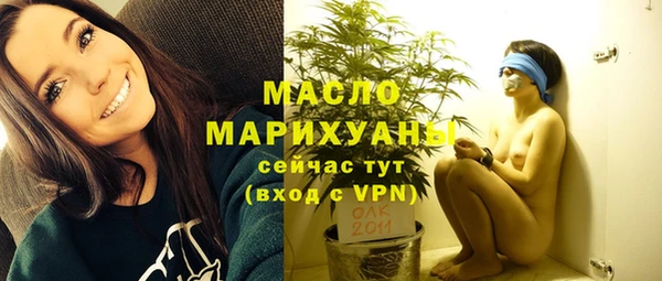тгк Гусь-Хрустальный