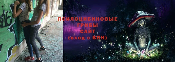 шишки Гусиноозёрск