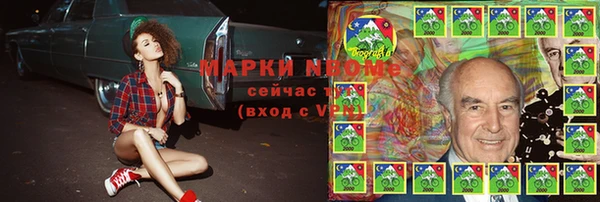 шишки Гусиноозёрск